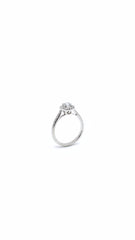 Diamond Micropave Engagement Ring